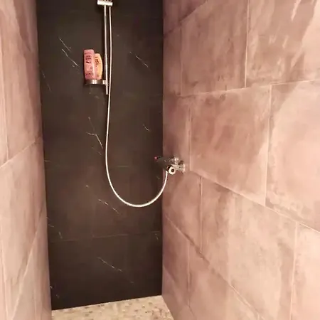 فيلة Pamprenelle *