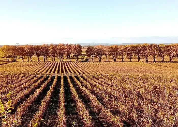 Pamprenelle ヴィラ